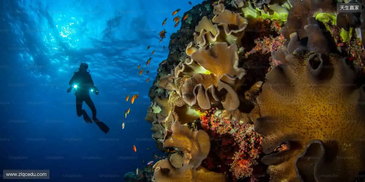 🏀 指尖掌控全球赛事，